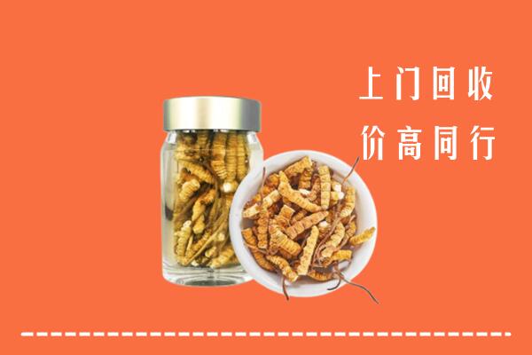 焦作回收冬虫夏草